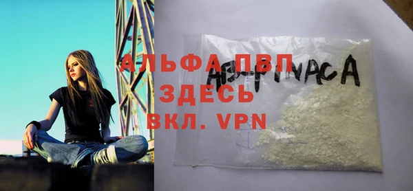 спиды Покачи