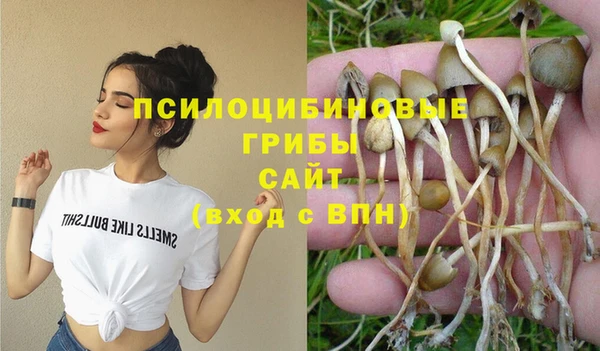стафф Пересвет