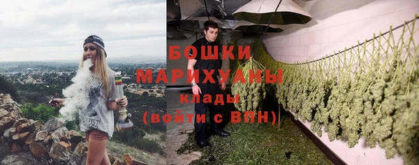 твердый Пестово