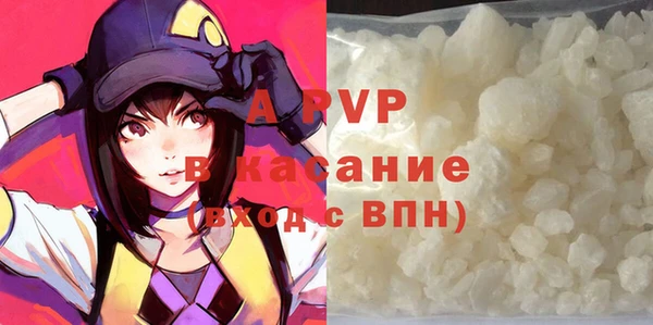 спиды Покачи