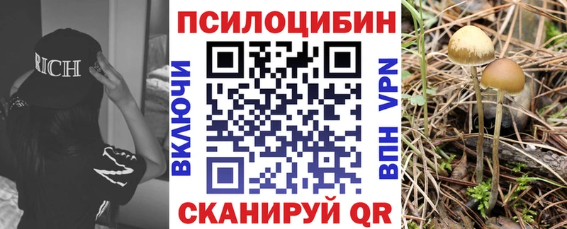 Псилоцибиновые грибы прущие грибы  Правдинск 